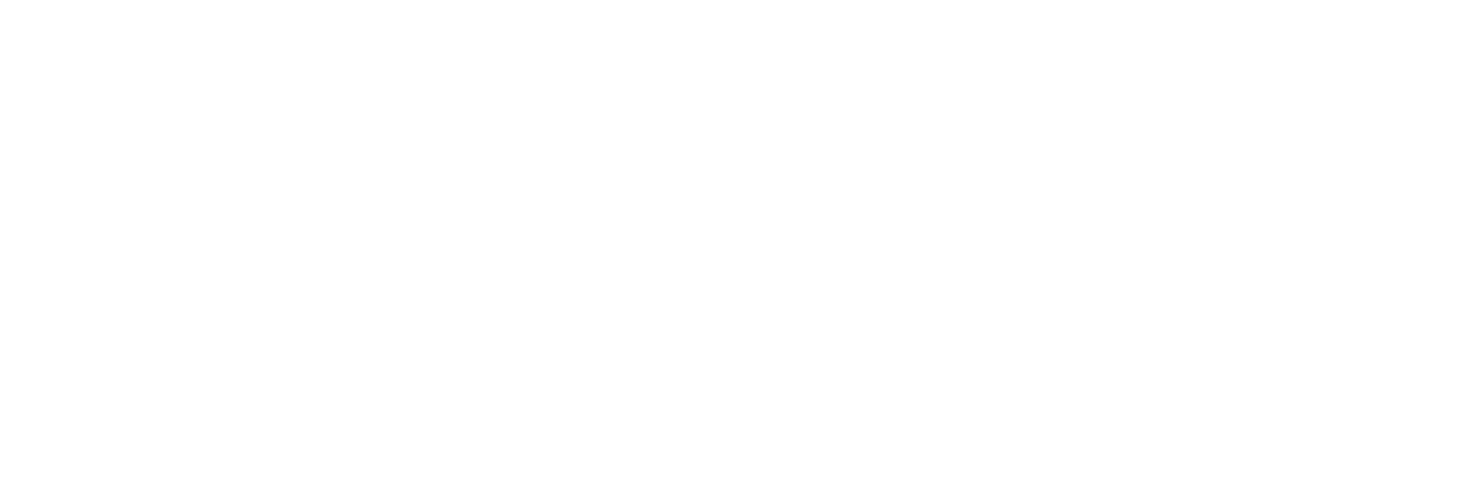 ServSuccess